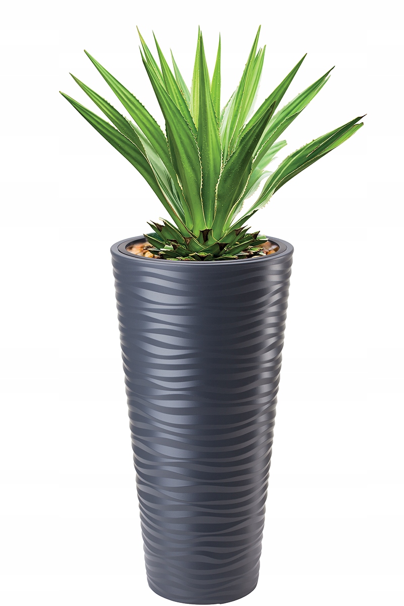 e706369ae4f5781c6c963b6289899dda