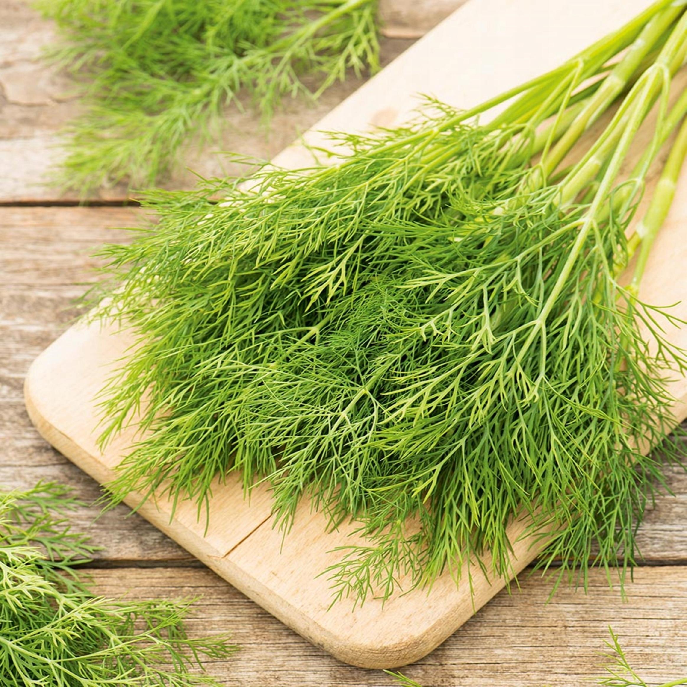 60cab45d8c8adcb1fa907fbc89e3a666