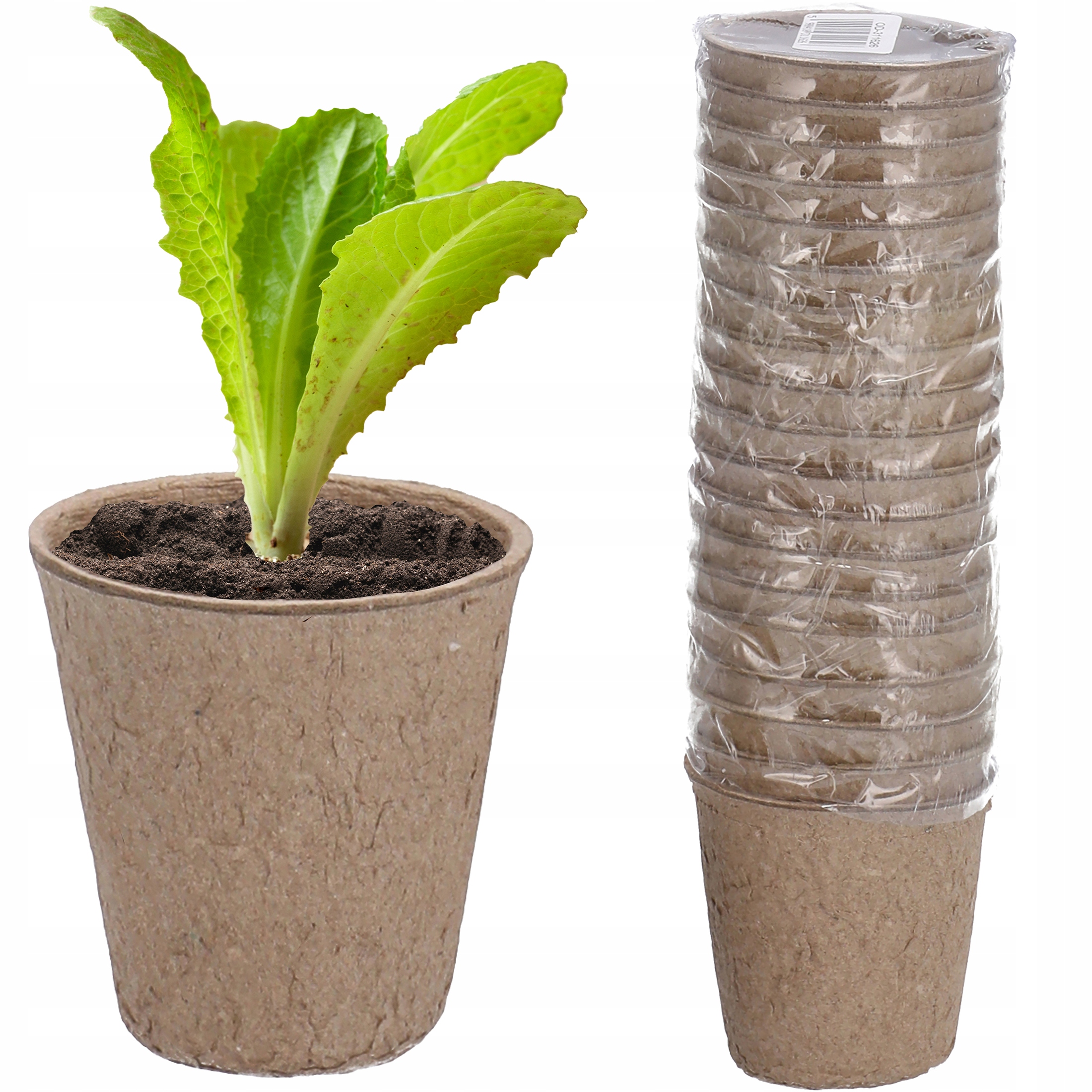 c7e8a37cf972b97b6c11cb8ac73c2ca5