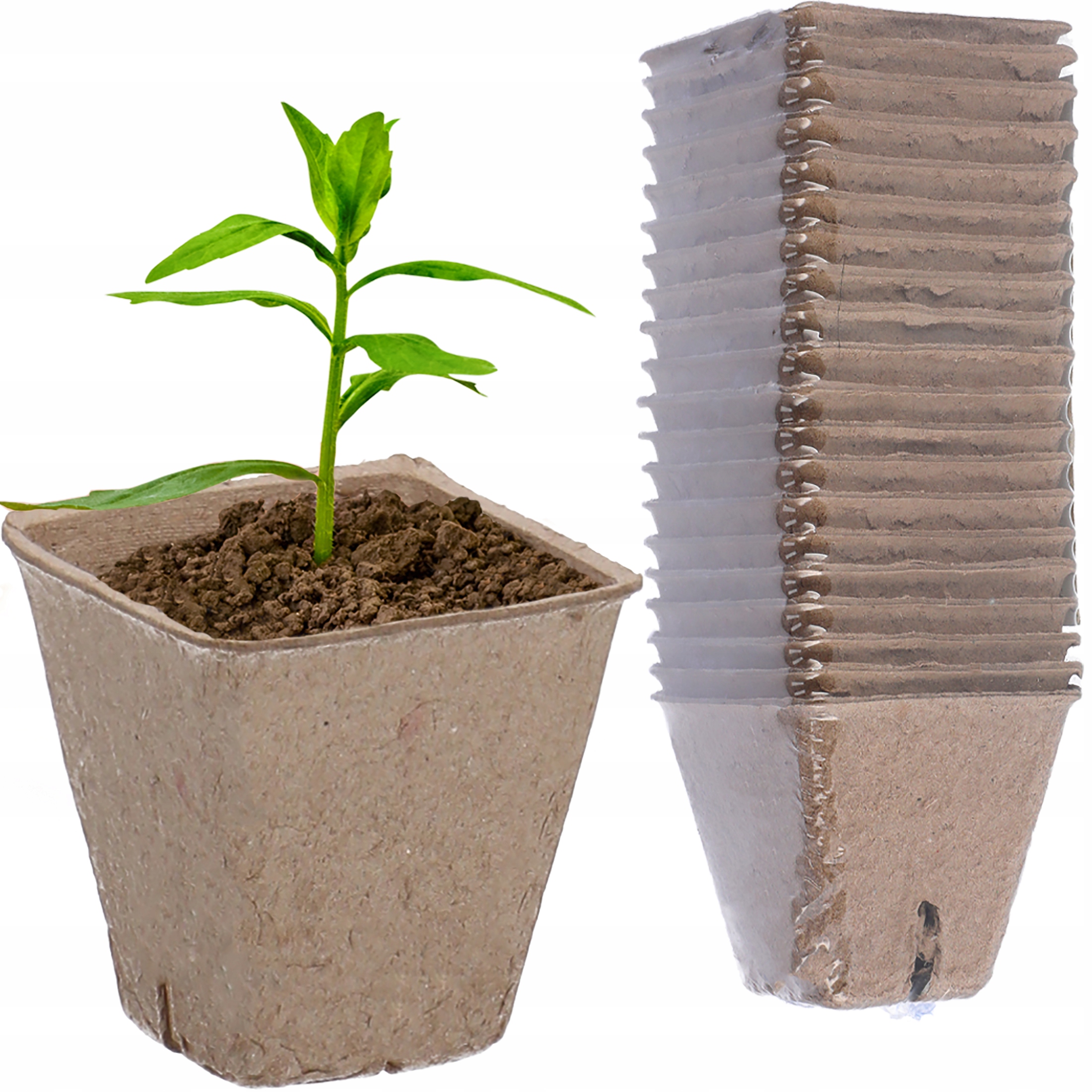 777cf1584a4c64f189f2306c764e7fbb