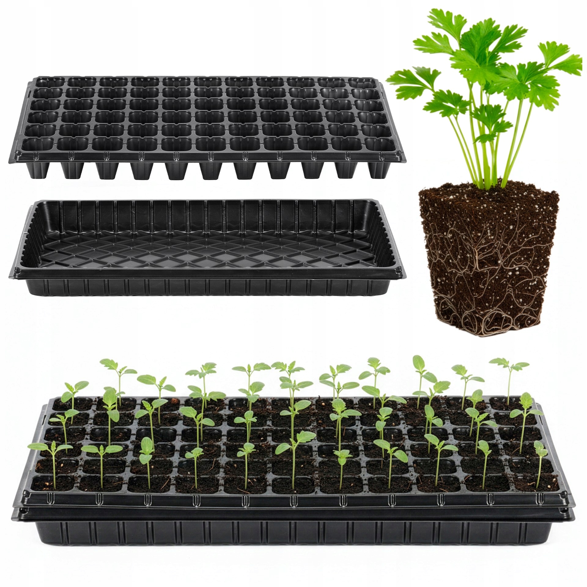 5426e7205665ed3d1f4b1a4765f4730f