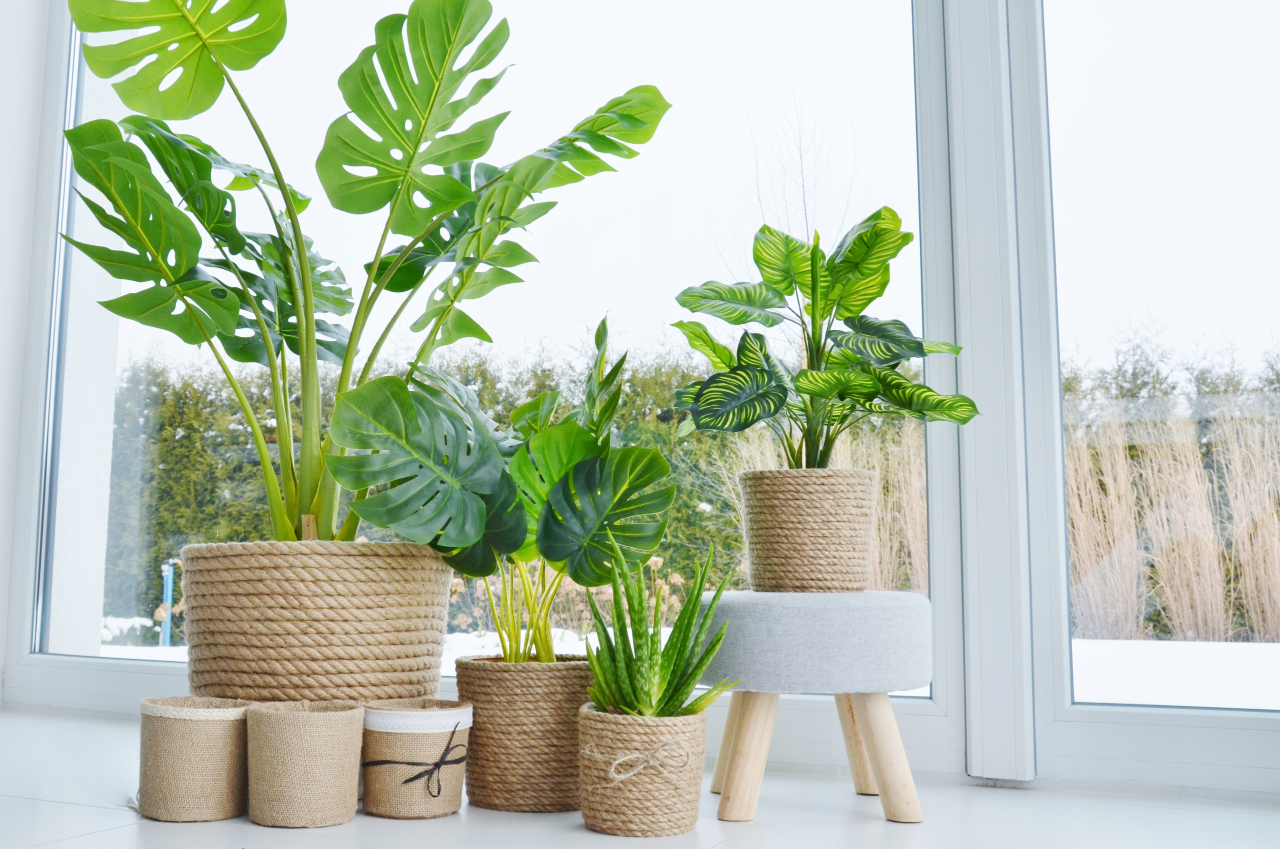 5448c31804d0ec8d37cb62a0d2e5841c