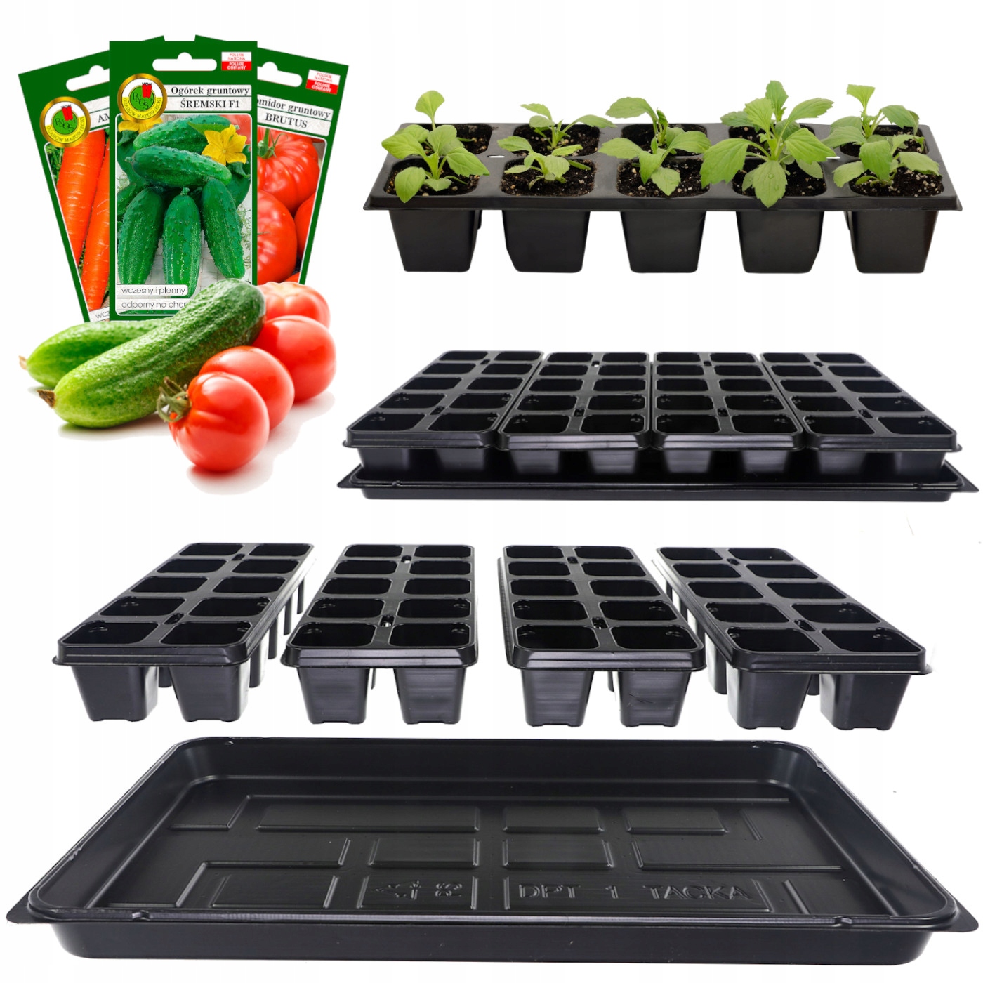 3cdac2c352ad1b16a738a8e7cab592c5