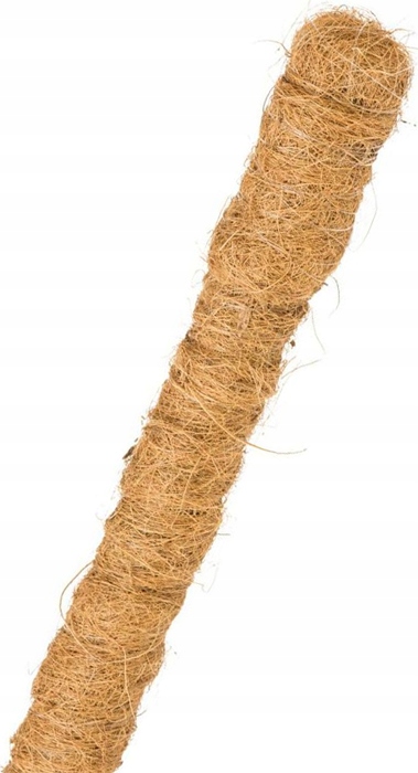 a68b263266838f00edcdc380bfc49d44