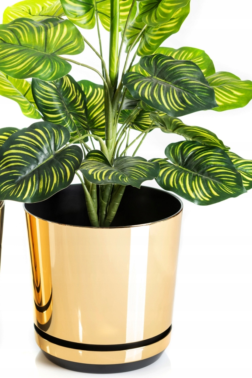 b477f390de1a6a48fb62cff1a71af231