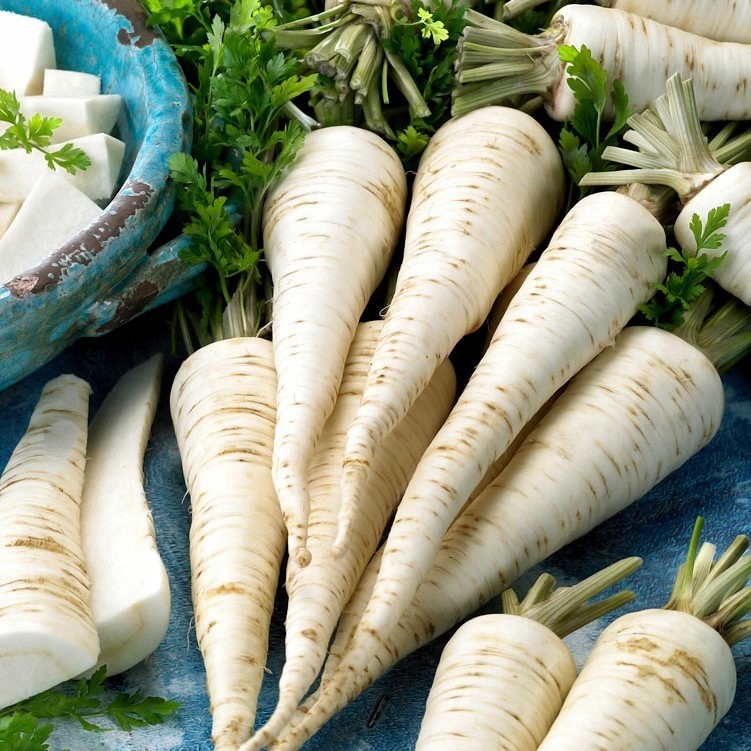 76a23380dccbe7d244b8fda27933b83d