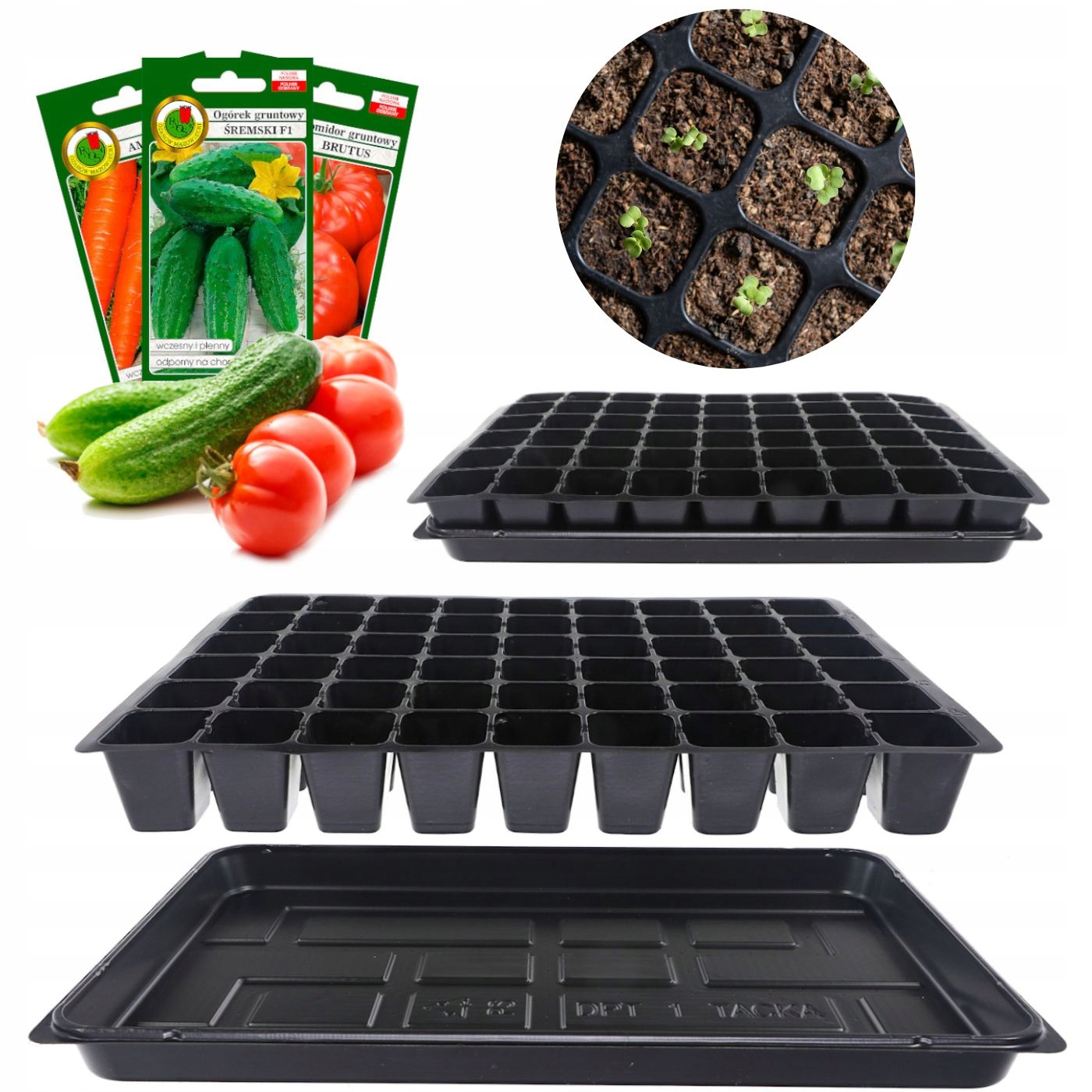 d7d37106424d8bc2fb8cd07d3e79d24e