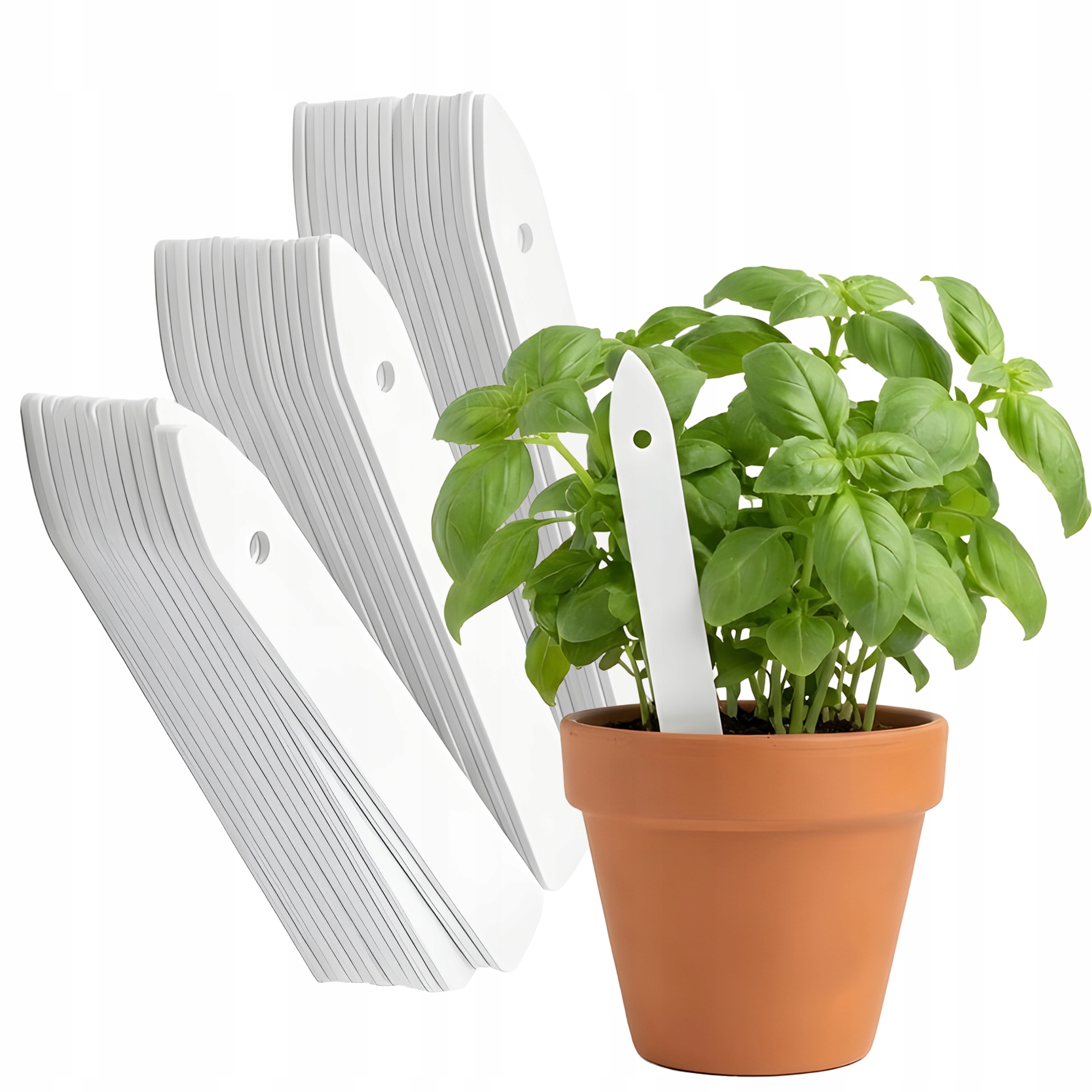 16b154c85c7838c3596e7d8e0c762b5e