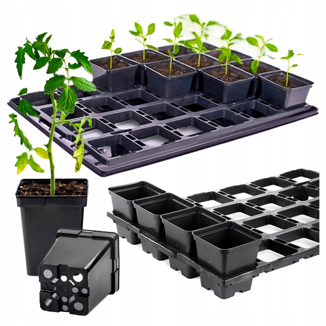 0b99e7197c4434f9d15b7a5c7b6455d9