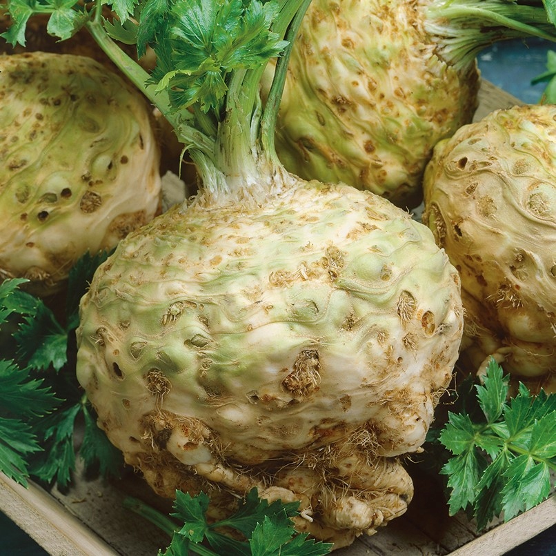 3912e8ce73ad8d27d6d7b4237fef380b