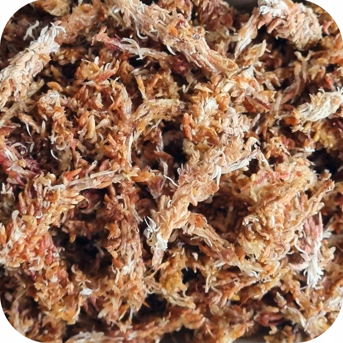 4c65f4d70d430db8474854c2238054cd