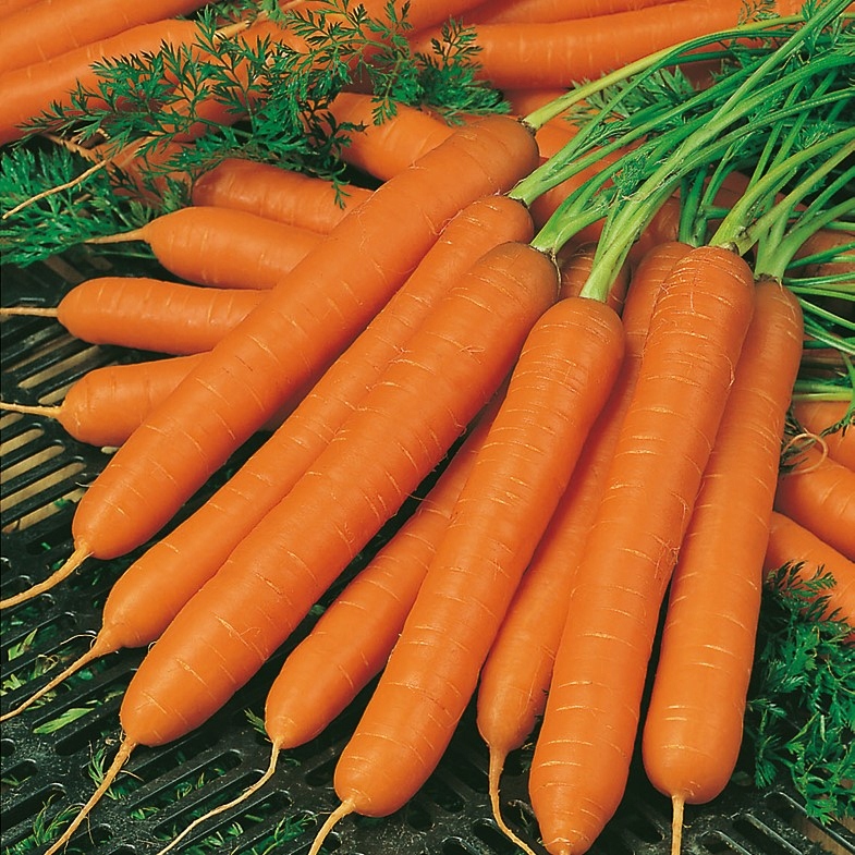 3b51d8d495d377b1890eaa3a08cc4856