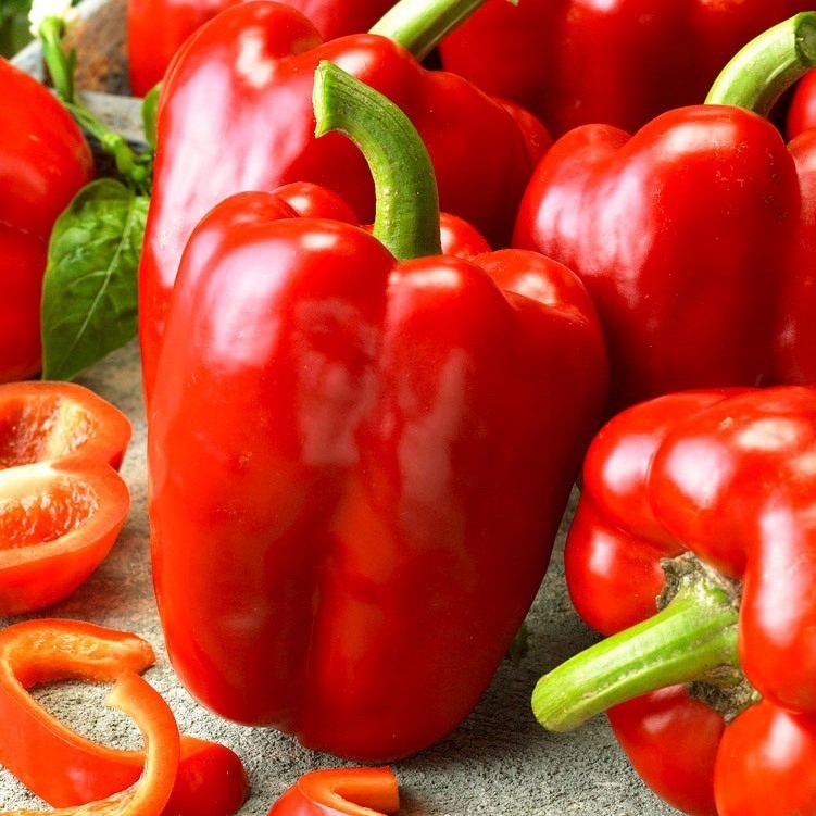 cc79152c5872c2cd612395b6d759e9cf