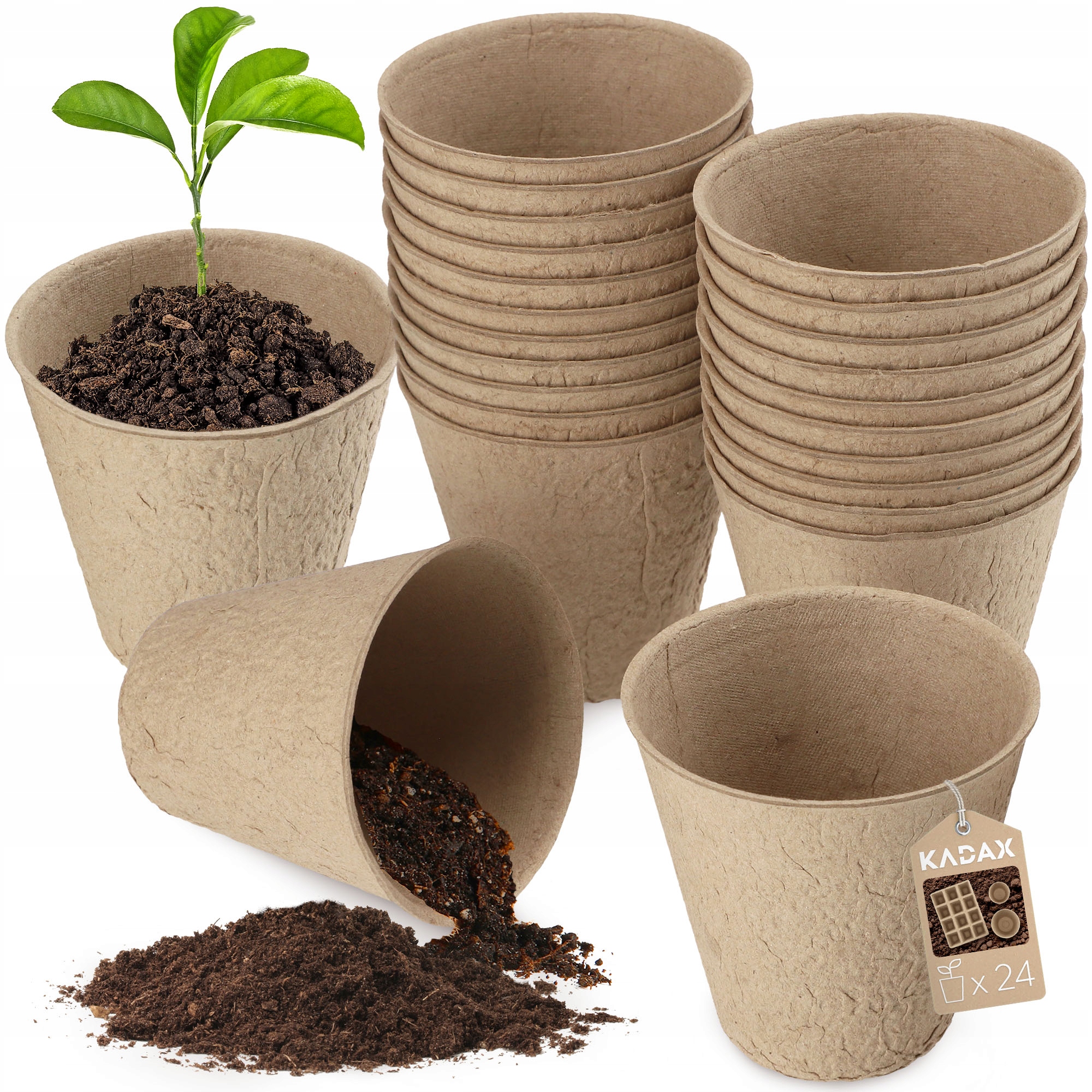 89586c658eab35c37fd94a45a5aefb8a