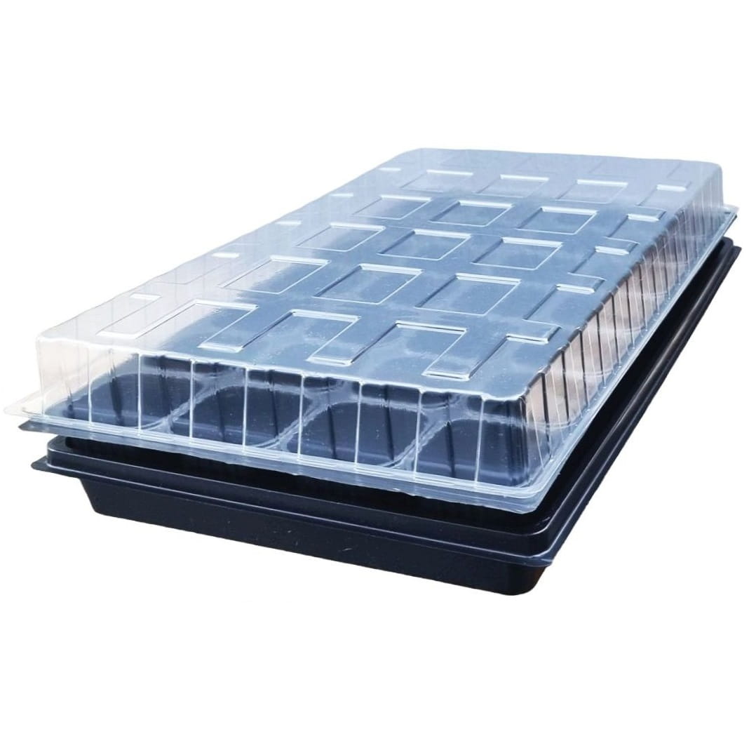 80d648da60a5d0378028aab7f04a549f