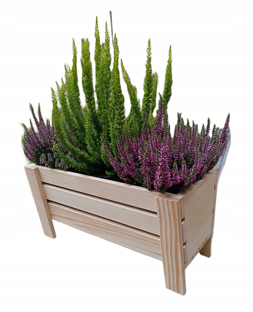 6068727a7d4221b32849173c6598d2a9