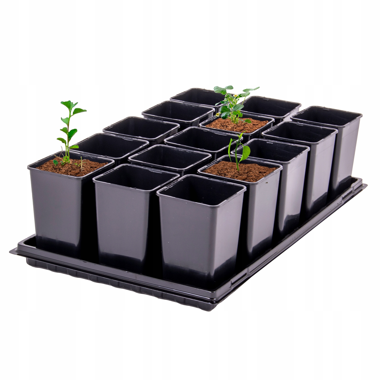 a9f4f800bdce73f537a4273d5c651eb9