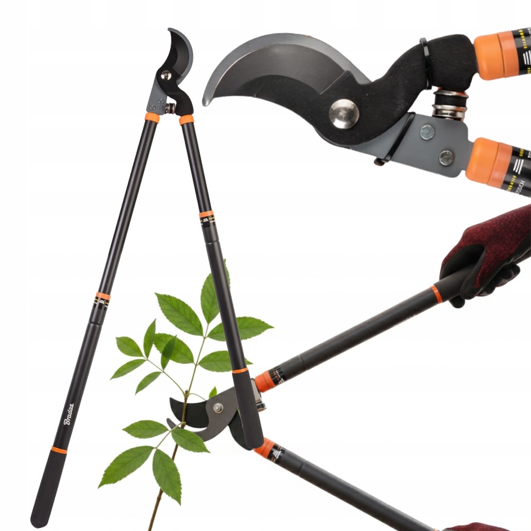 a9566a4a8a39b3704805101bf1165020