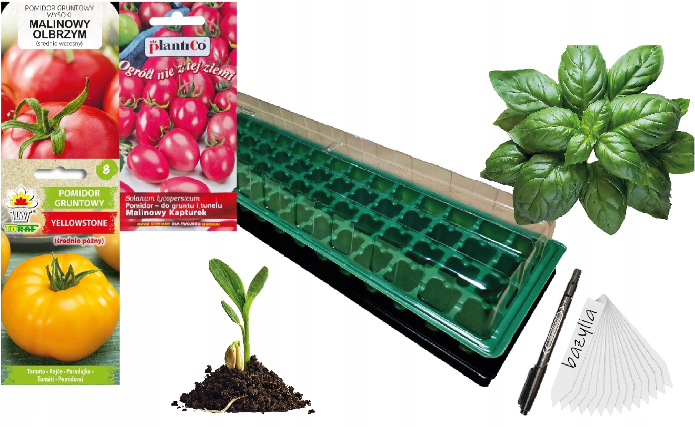 d99569f2378d2b5c4143849bdcb418e6