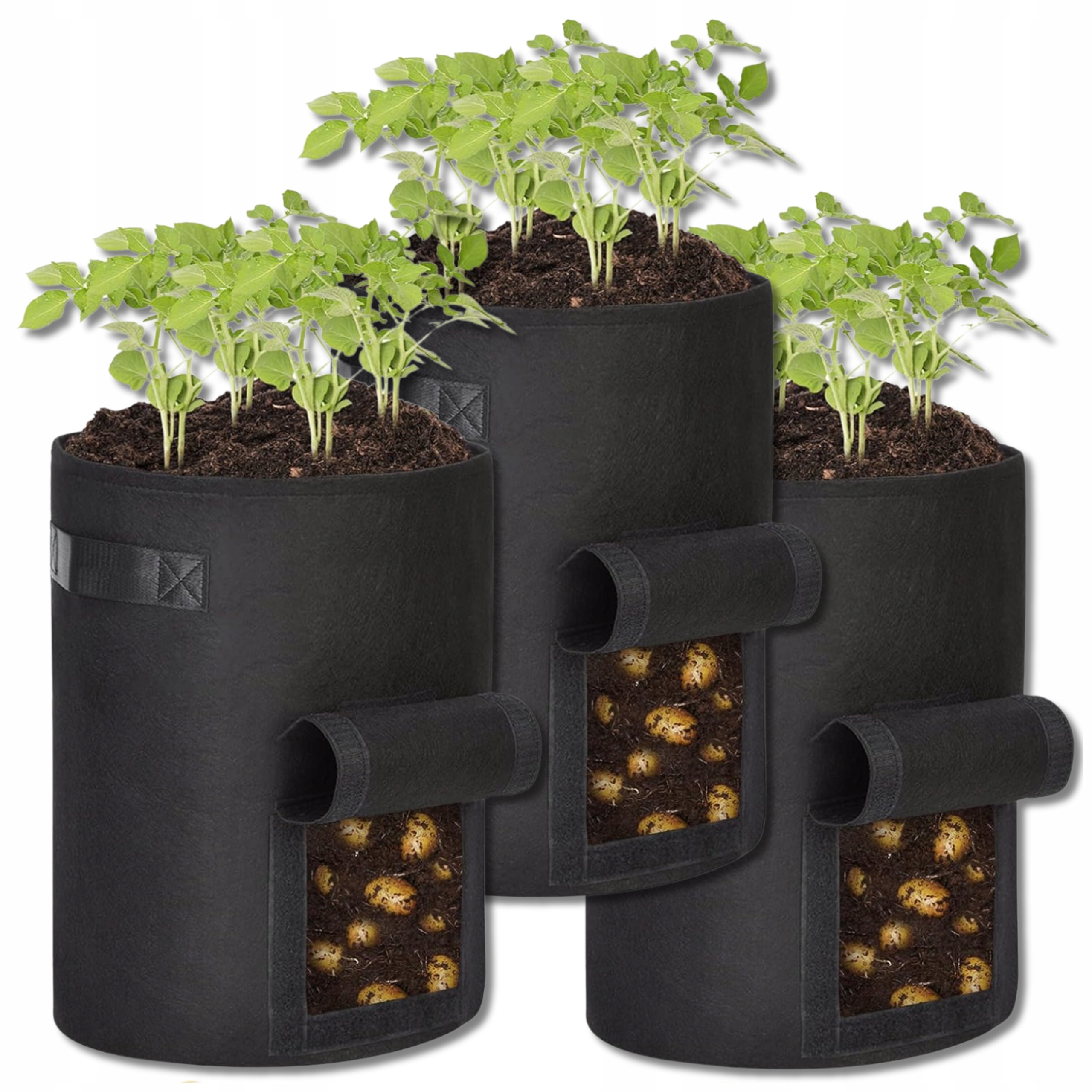 2a01eaf1aac9d6808d8d24b25ef9a947