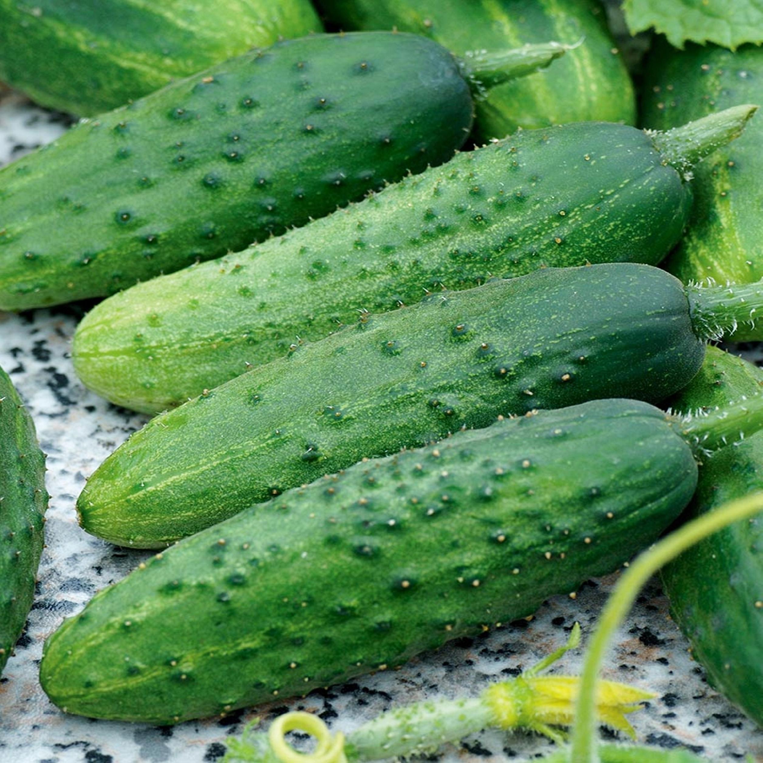 4e134414510e3600067ba4f16a43694a