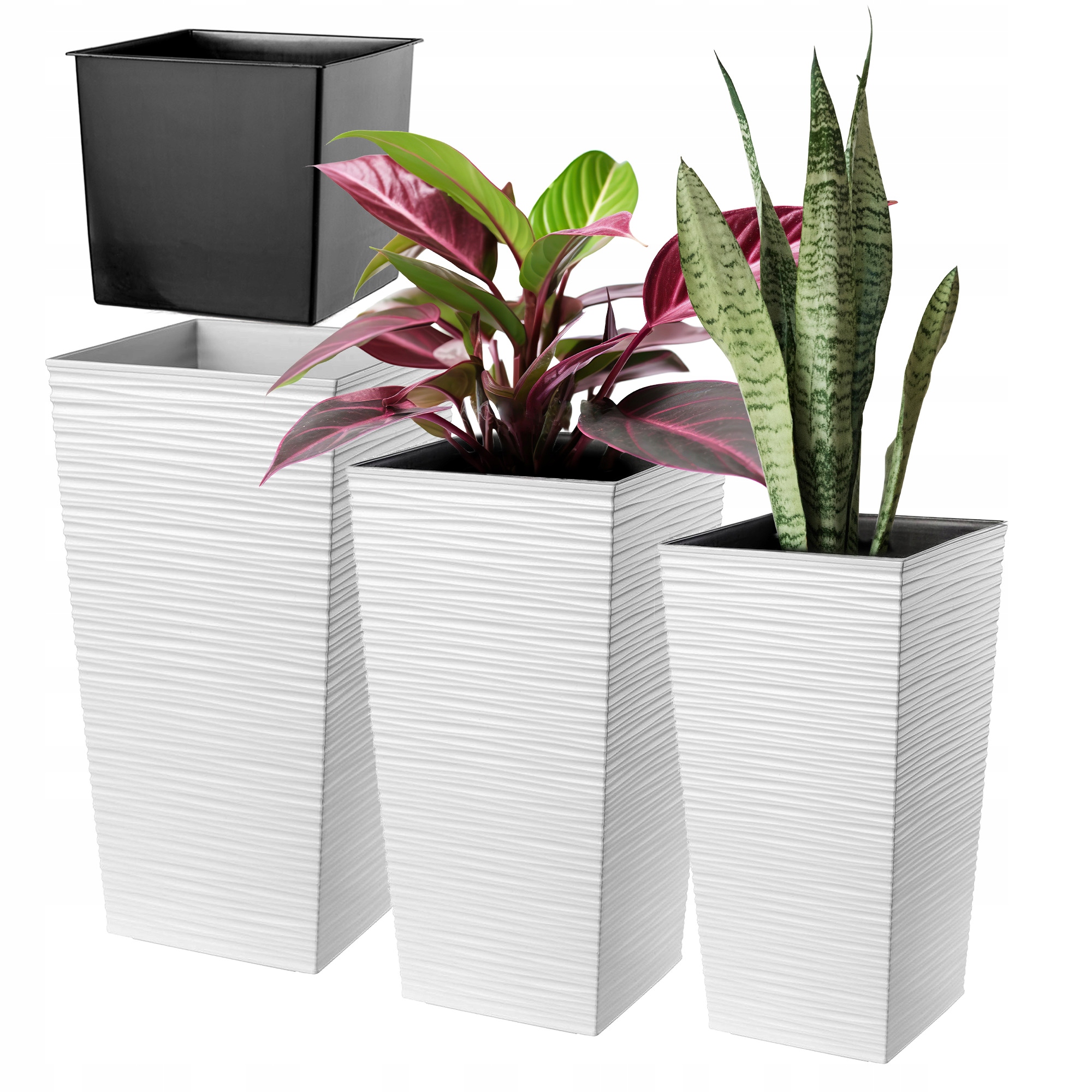 251e076dd303369713405e9fa5843678