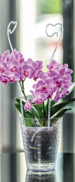 df92559a773d5888a83140cc7fe70b51