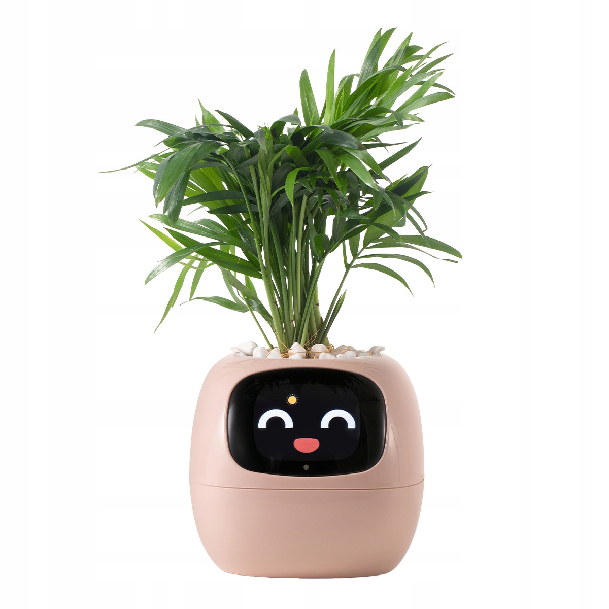 d7a074b94d9f8d345912886dd9b5ab19