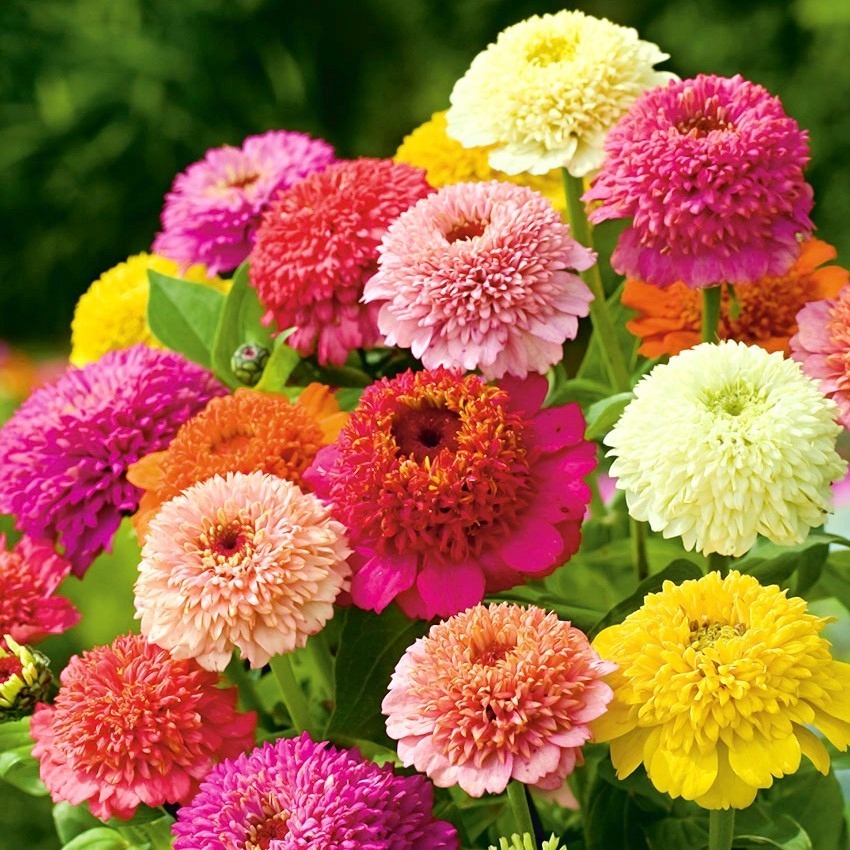 0950ecf3c94268c7b3e1f1e89a62b9af