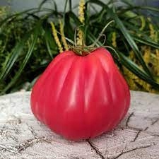 2c77126918667b0d74a5753a63fefbc0