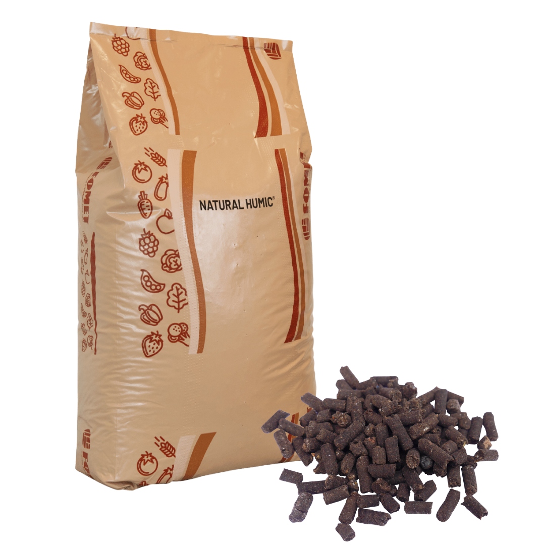 72fb76d06c44df3596f3fb59dd0e86a9