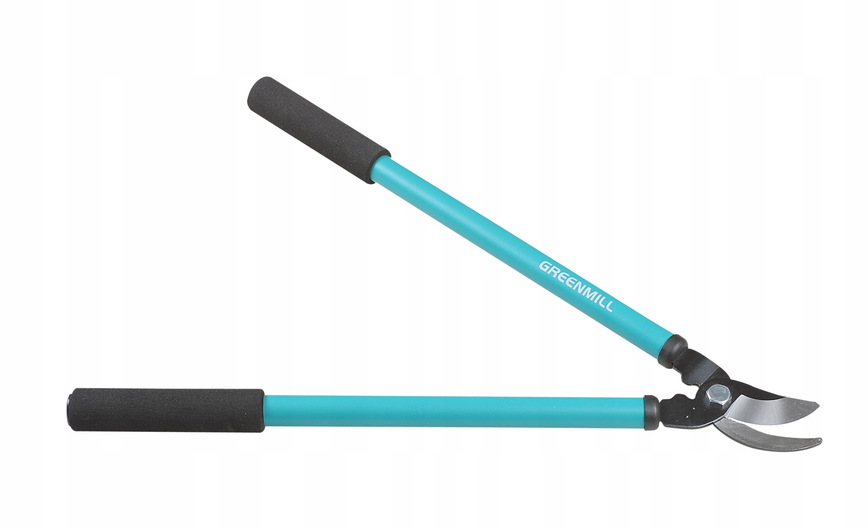 b9233f21449816d208e98993d350b536