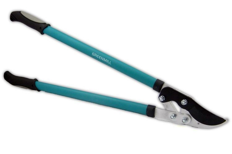 2665b32235c66fb618ff689da985bbd6